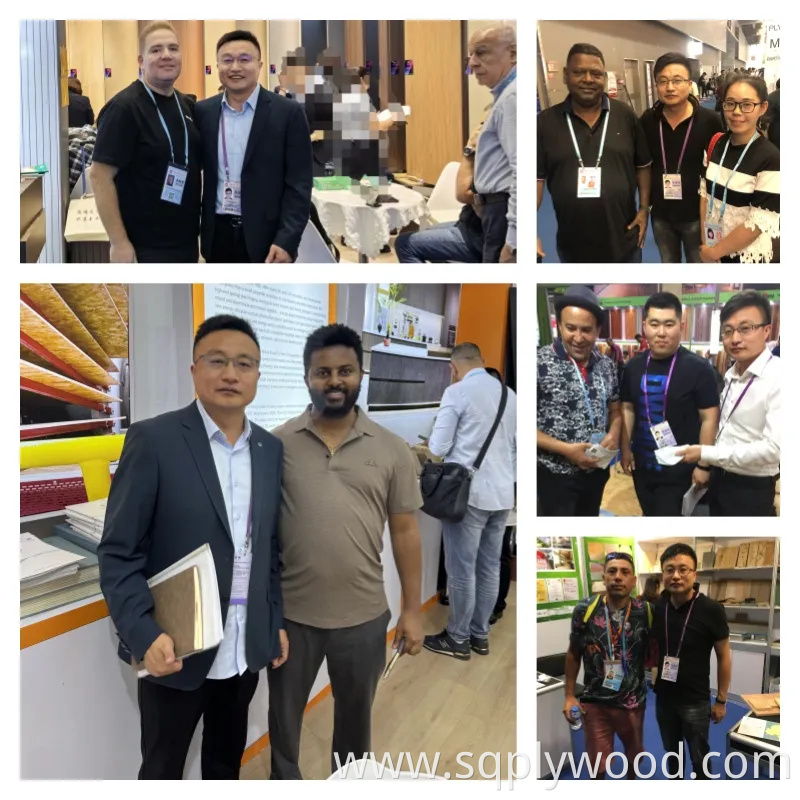 High Quality E0 Melamine Laminated Plywood for Furniture